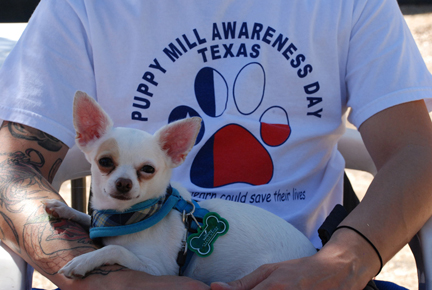 Puppy Mill Awareness Day 2011 Texas