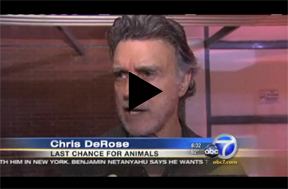 ABC News report on WeHo fun ban