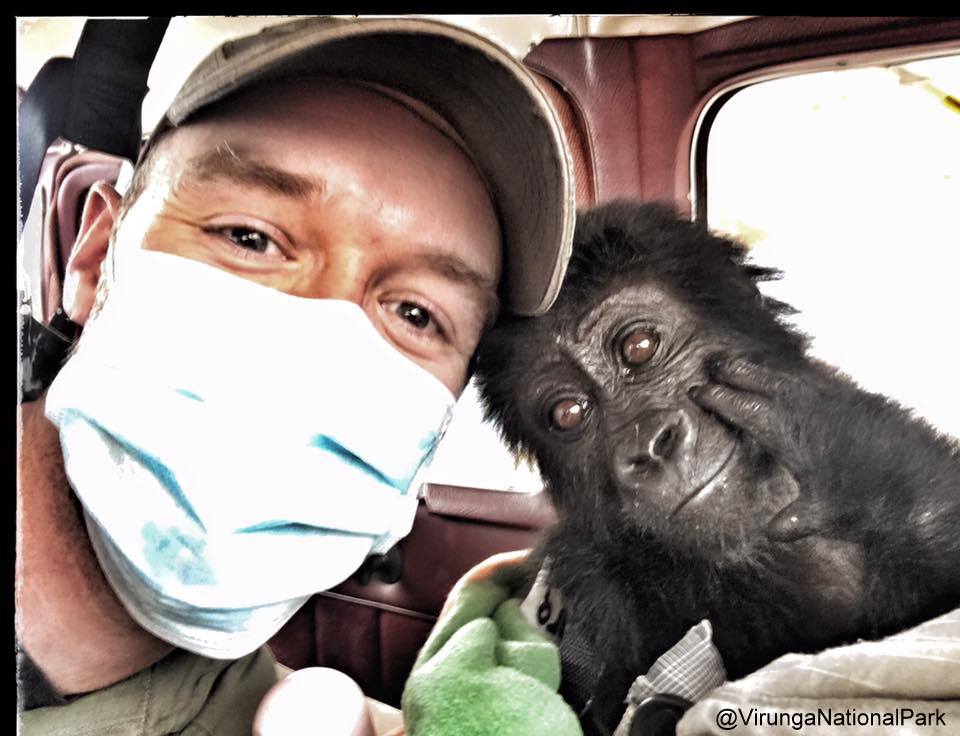 Anthony rescued gorilla Lulingu airplane.jpg
