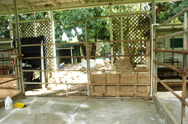 The abandoned Waimanalo property owned by Sheryl-Luke Kalani where Bradley Hawaiian Puppies operated the puppy mill and where Luke-Kalani got puppies to sell at her pet shop