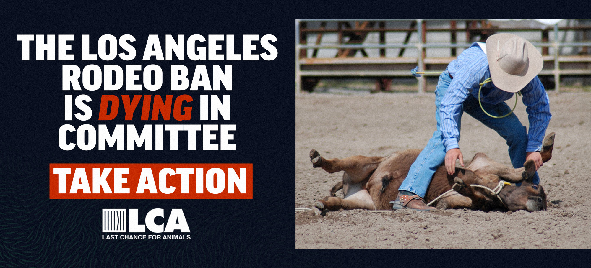 Support the LA Rodeo Ban