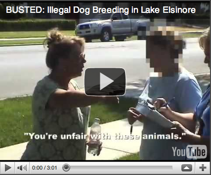 lake elsinor YouTube
