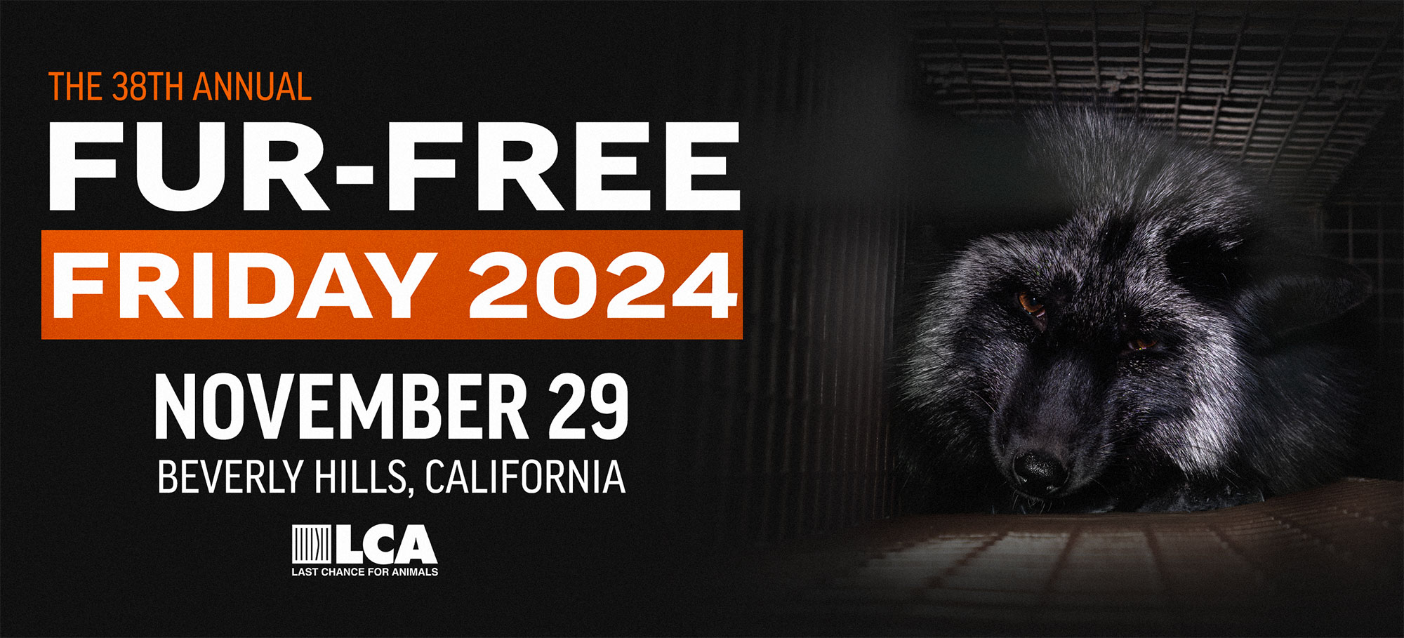 Fur free friday 2024