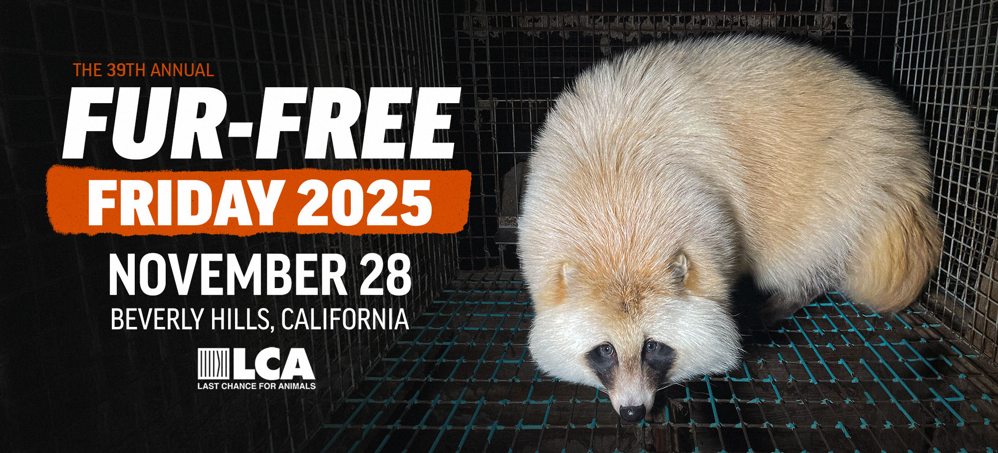 Fur free friday 2025