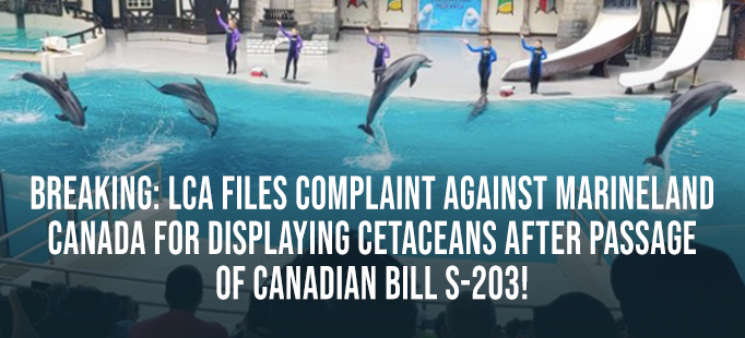 lca complaint marineland