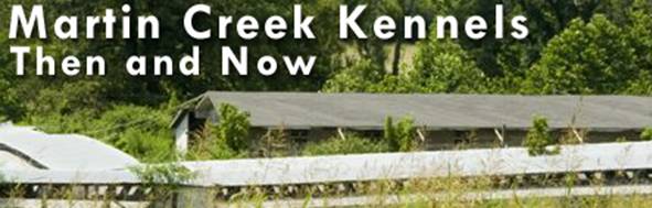 martin creek then and now header