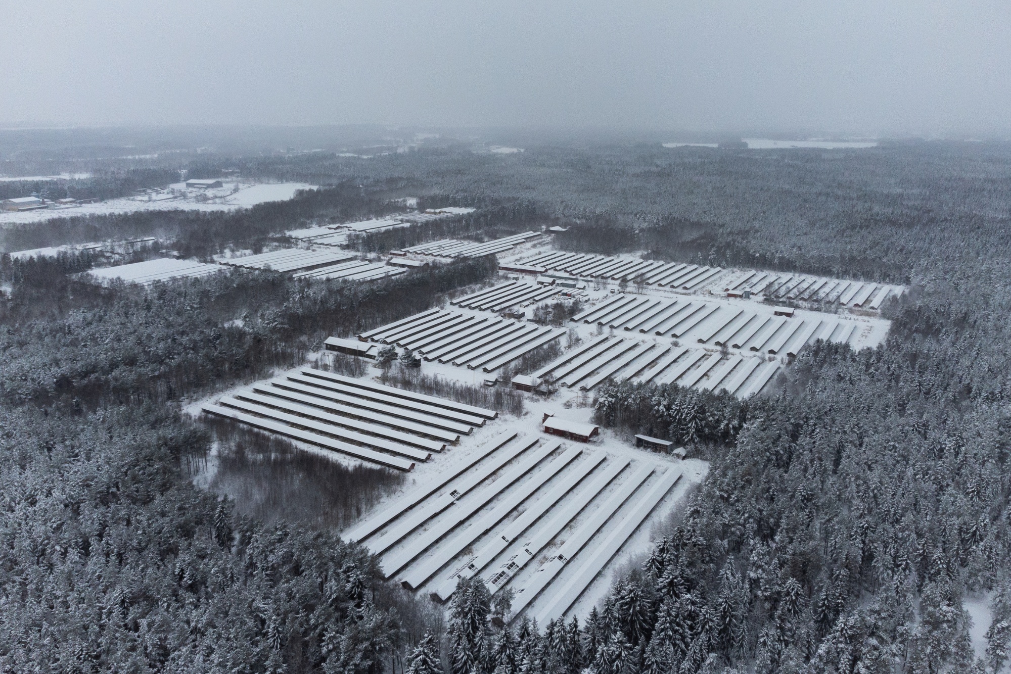 finnish fur farm