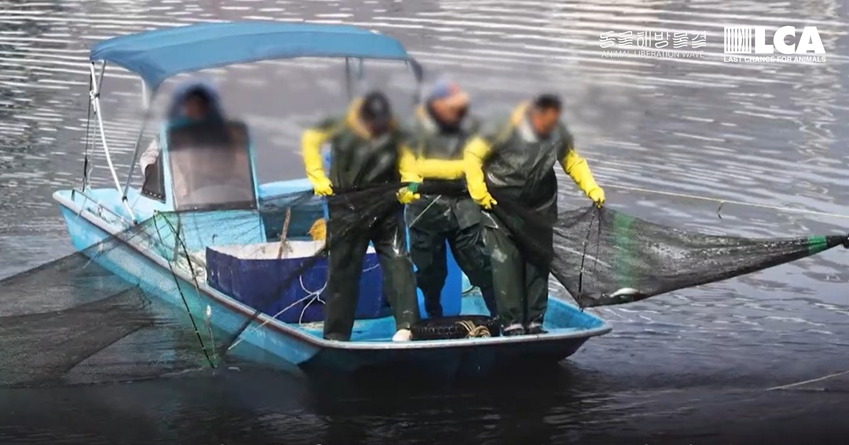 Men gathering fish