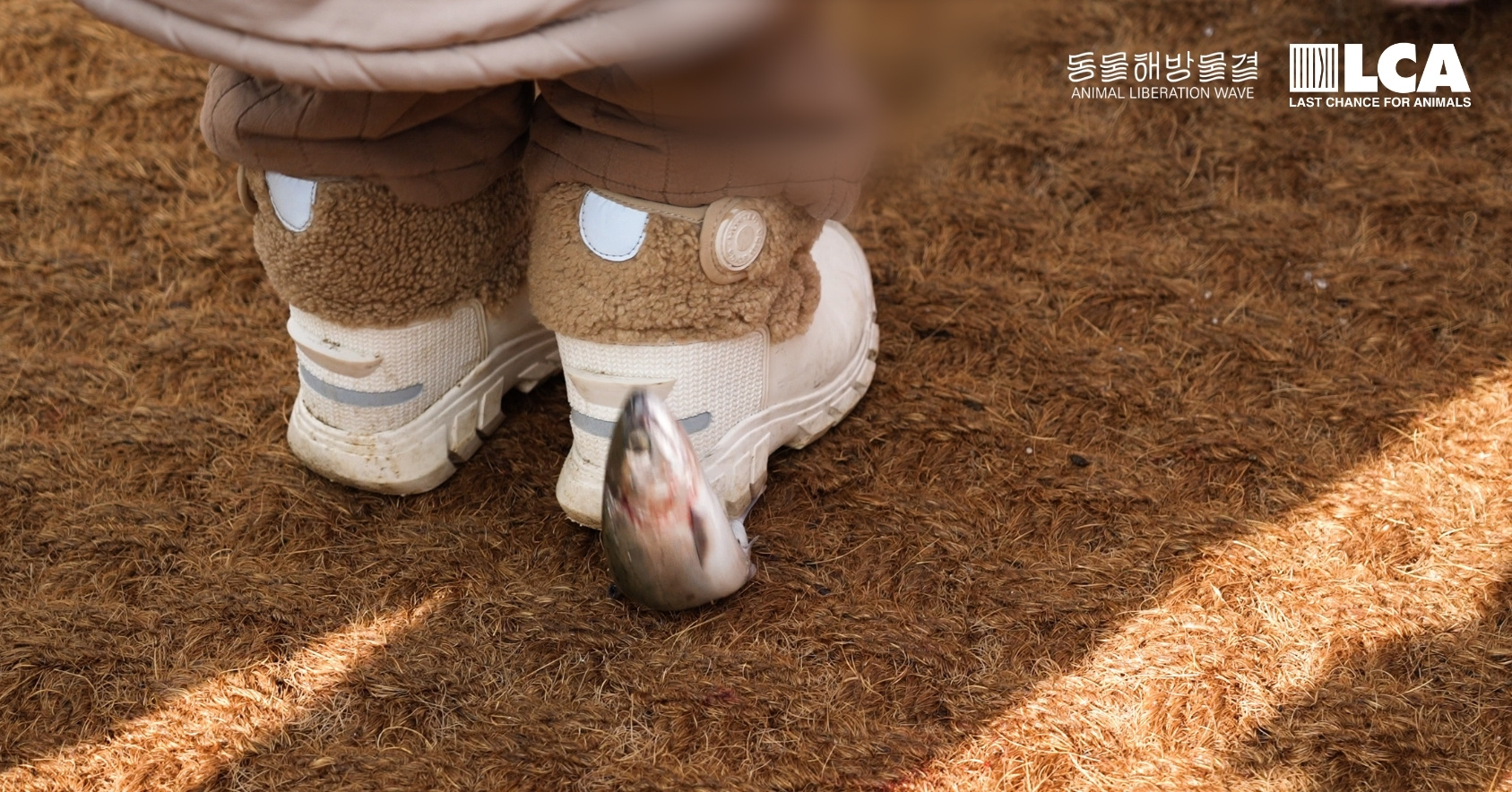 Stepping on fish