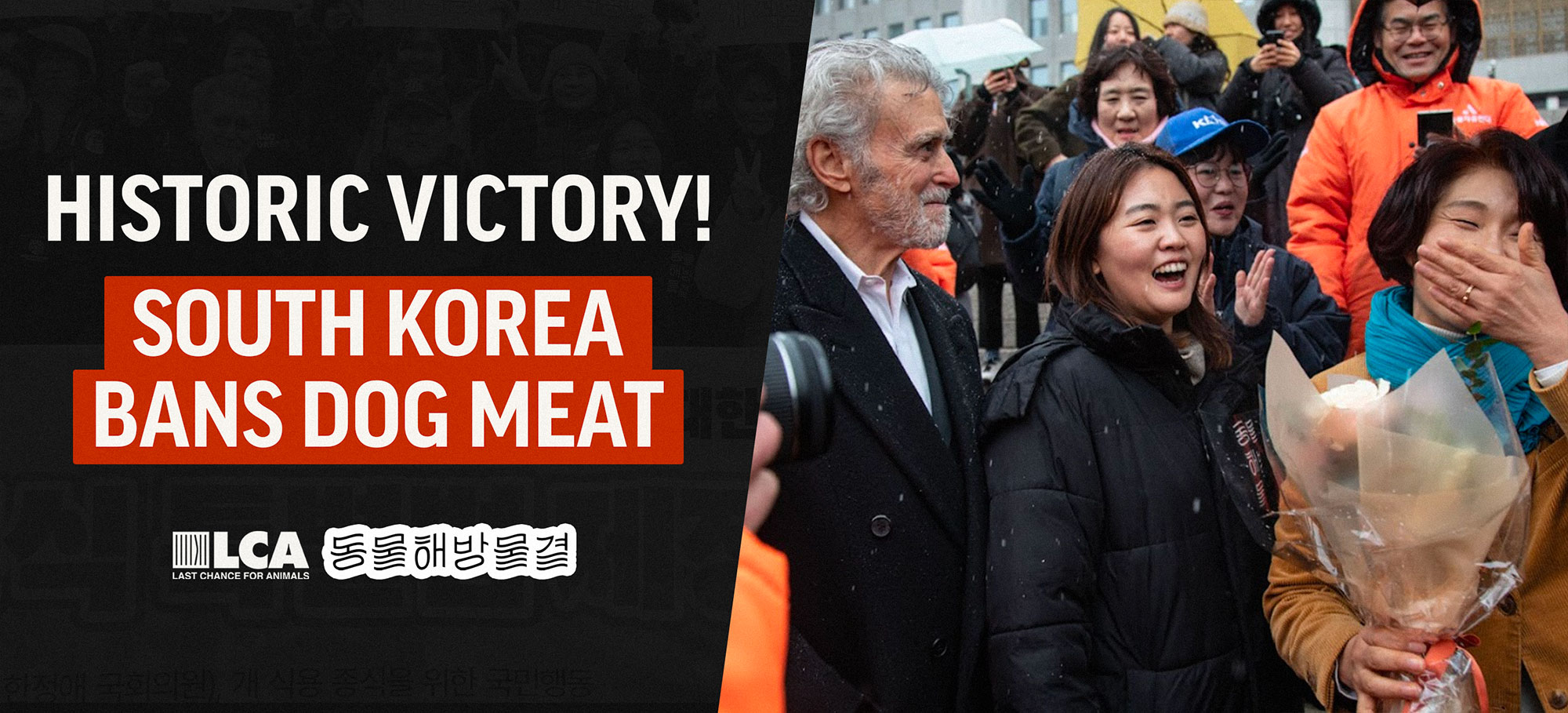 South Korea Bans Dog Meat