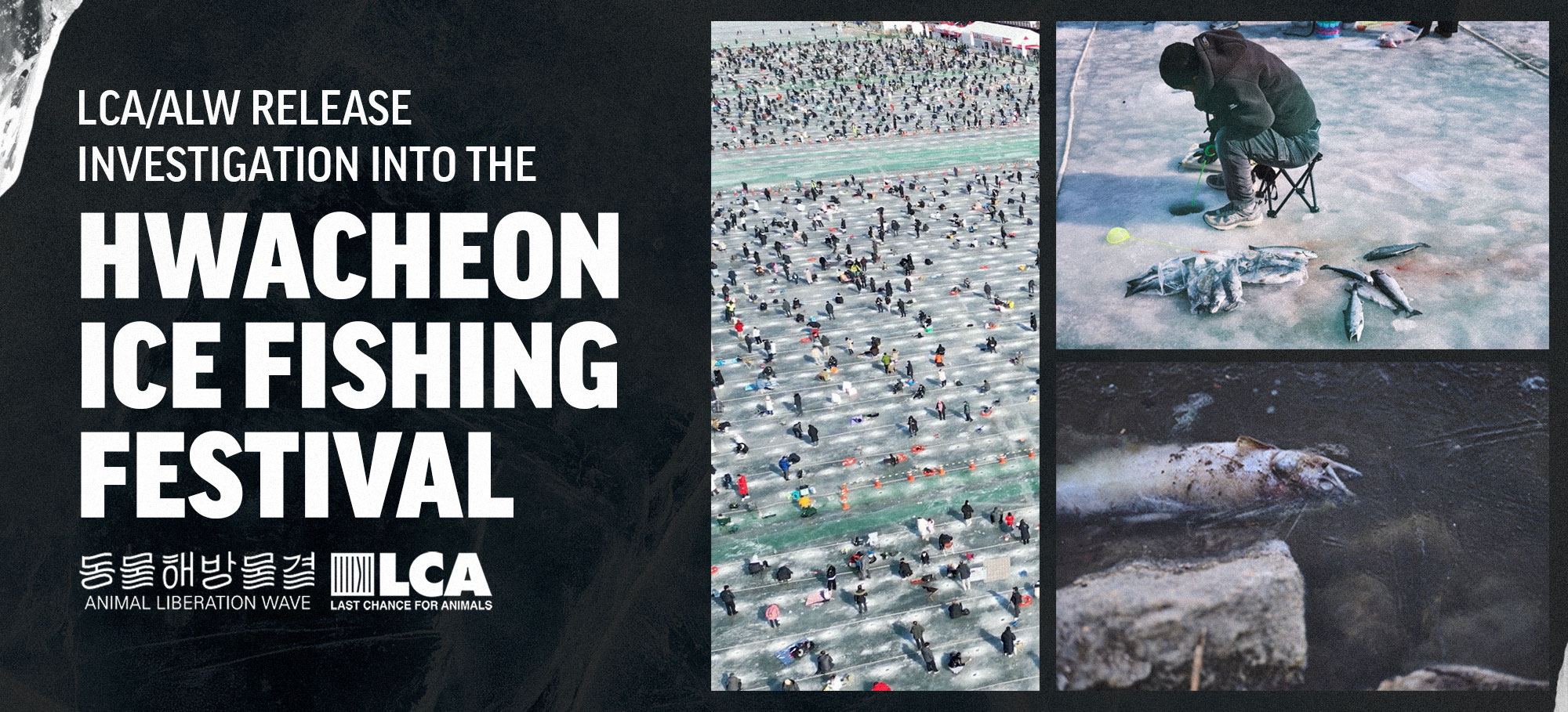 S Korea Ice Fishing Festival Investigation