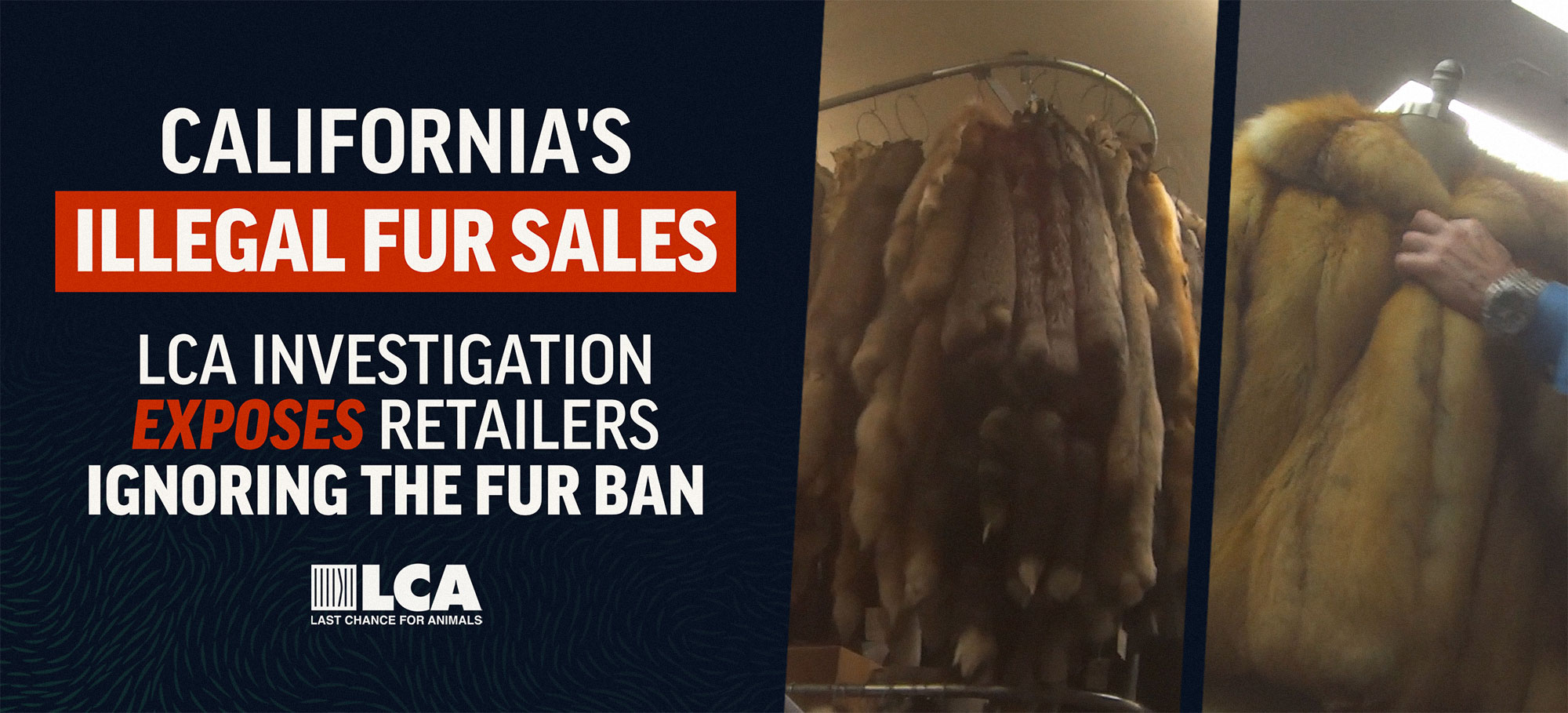 California Illegal Fur Sales banner